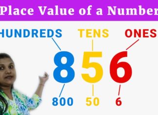 How to explain place value to a child – Basic math for grade 1 and 2